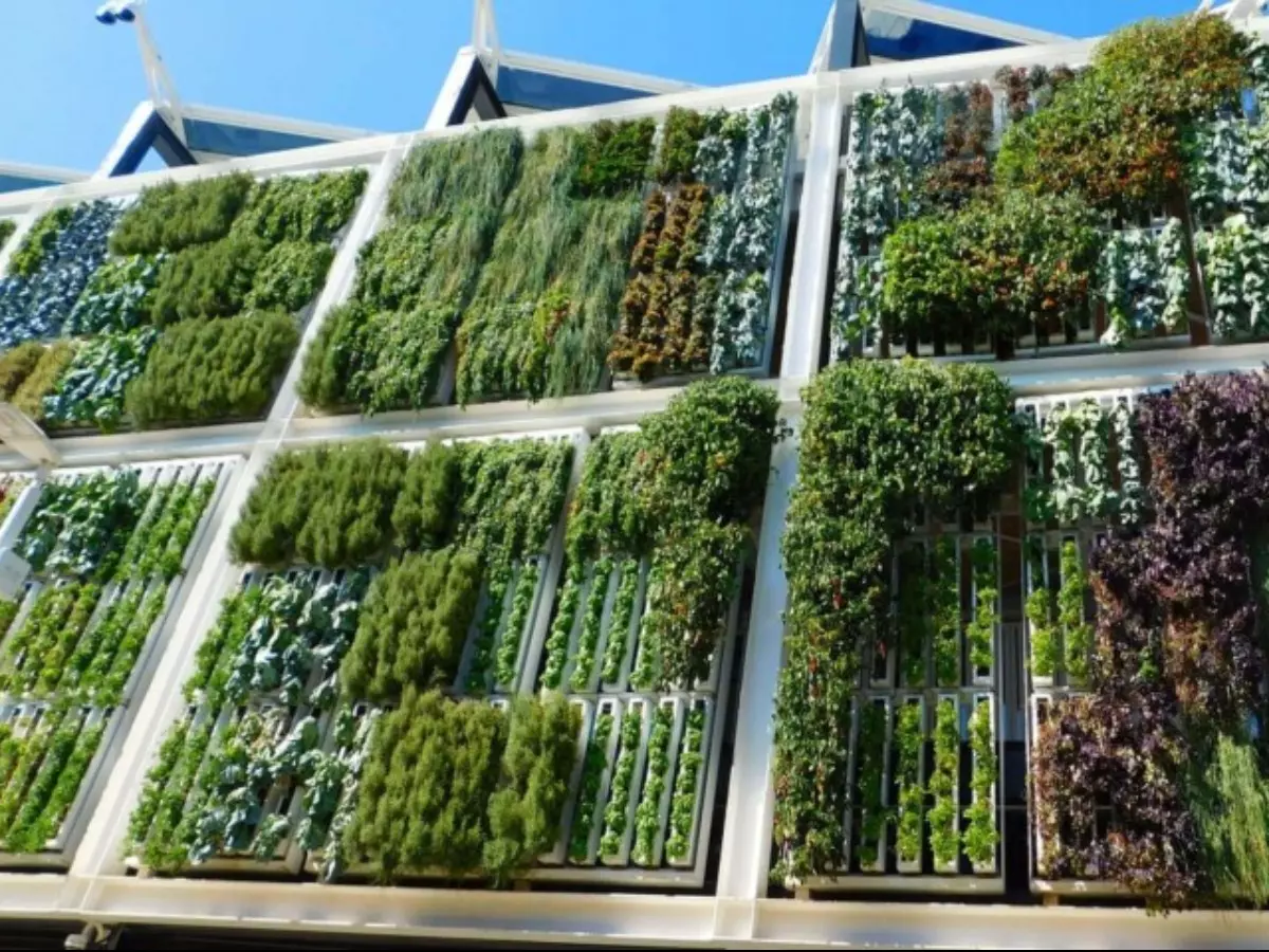 horta-suspensa-35-maneiras-criativas