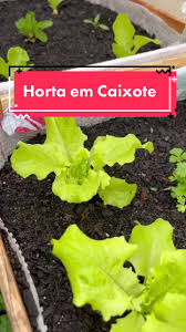 horta-suspensa-35-maneiras-criativas