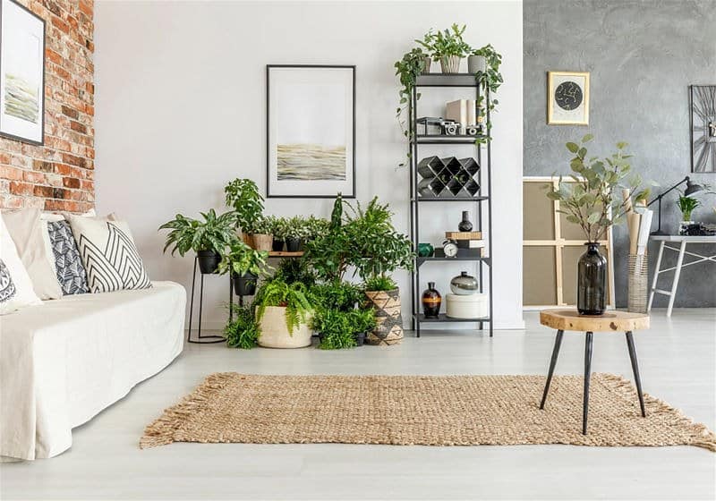 ideias-de-decoracao-de-sala-com-plantas