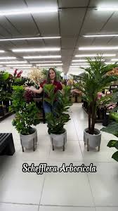 ideias-de-sala-decorada-com-plantas-artificiais