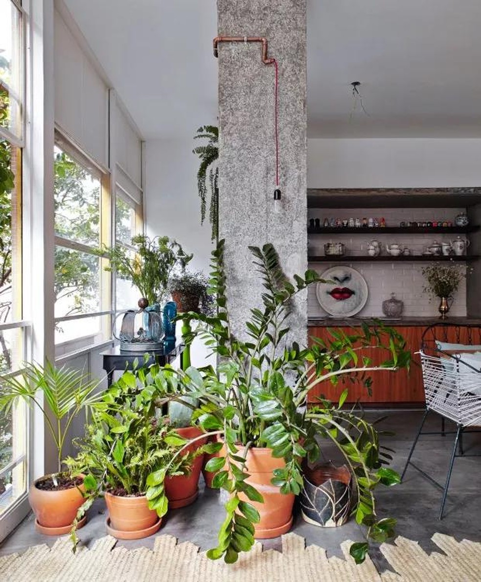 ideias-de-decoracao-de-sala-com-plantas