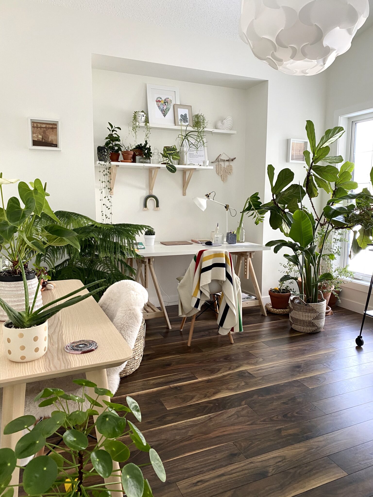 ideias-de-decoracao-de-sala-com-plantas