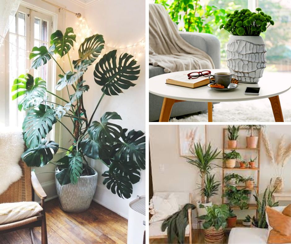 ideias-de-decoracao-de-sala-com-plantas