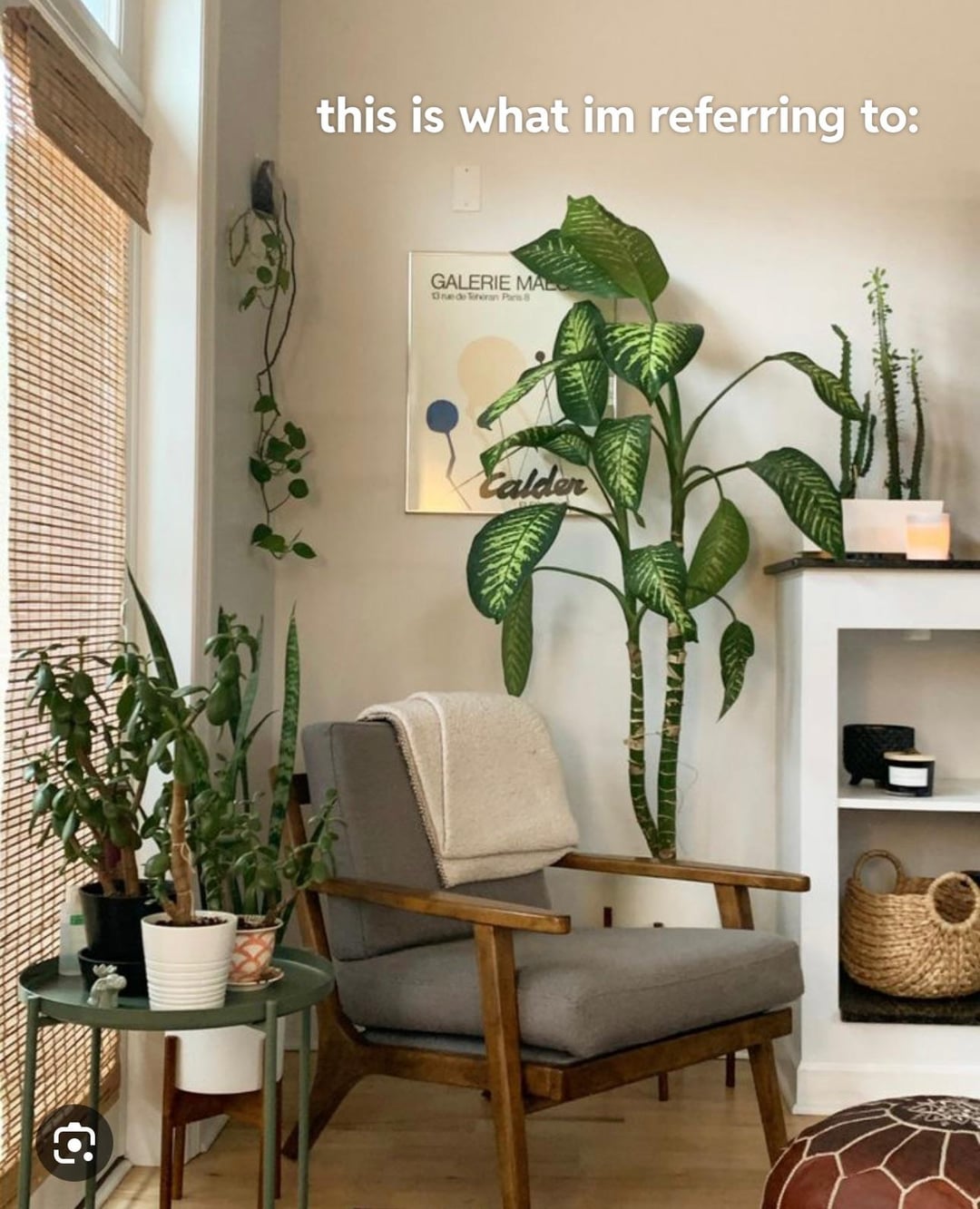 ideias-de-decoracao-de-sala-com-plantas