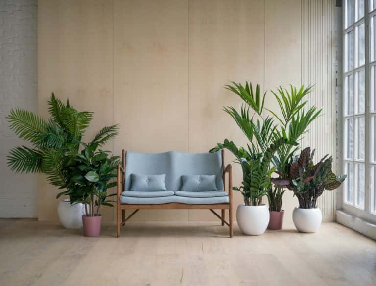 ideias-de-decoracao-de-sala-com-plantas