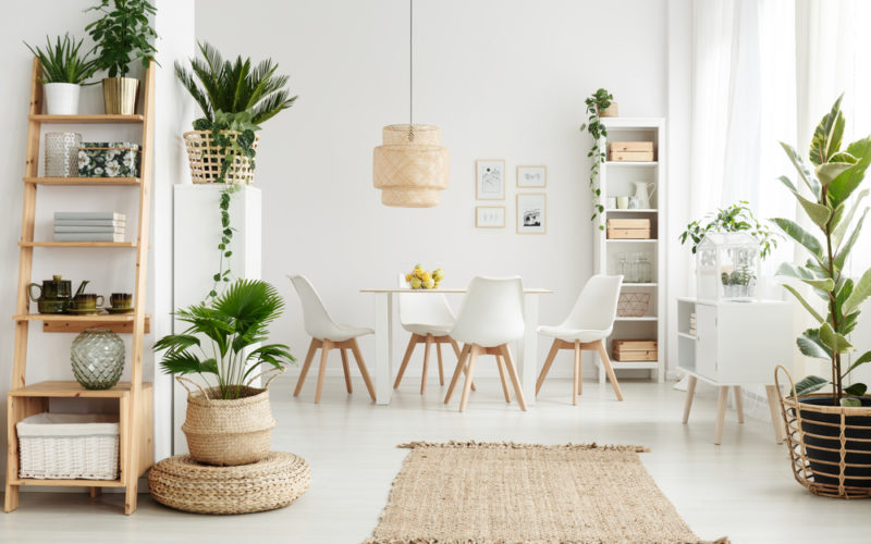ideias-de-decoracao-de-sala-com-plantas