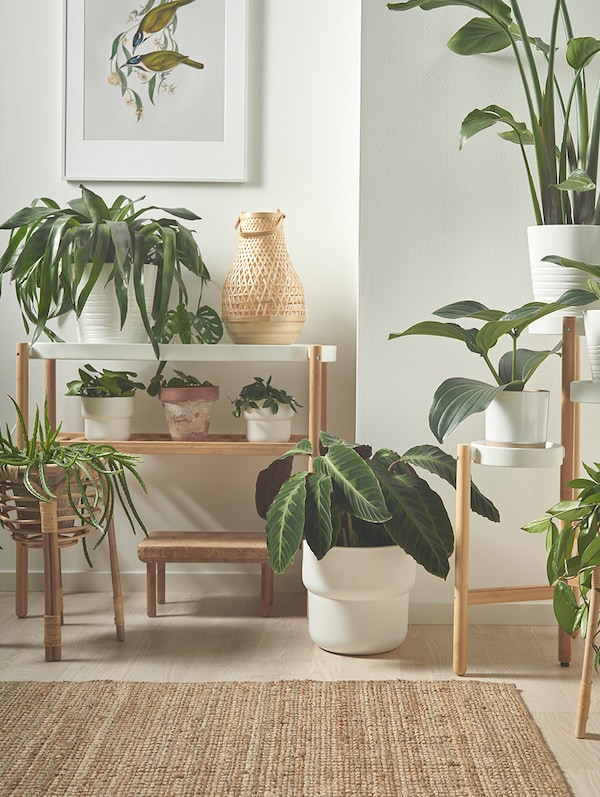 ideias-de-decoracao-de-sala-com-plantas