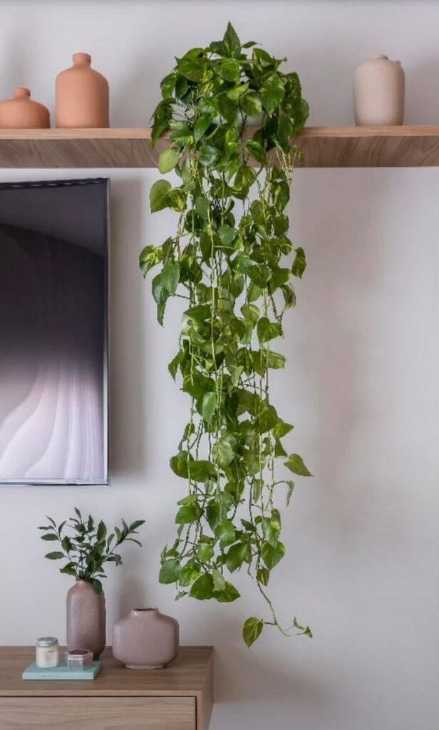 ideias-de-decoracao-de-sala-com-plantas