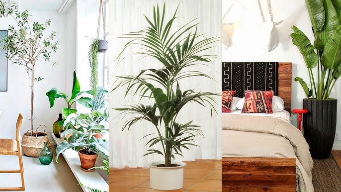 ideias-de-decoracao-de-sala-com-plantas