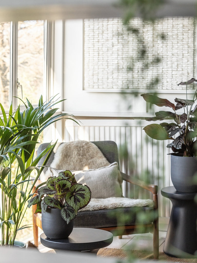 ideias-de-decoracao-de-sala-com-plantas