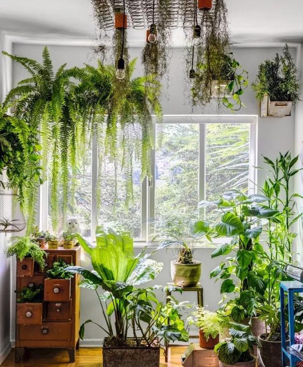 ideias-de-decoracao-de-sala-com-plantas