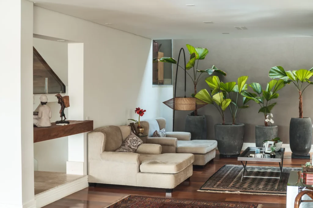 ideias-de-decoracao-de-sala-com-plantas