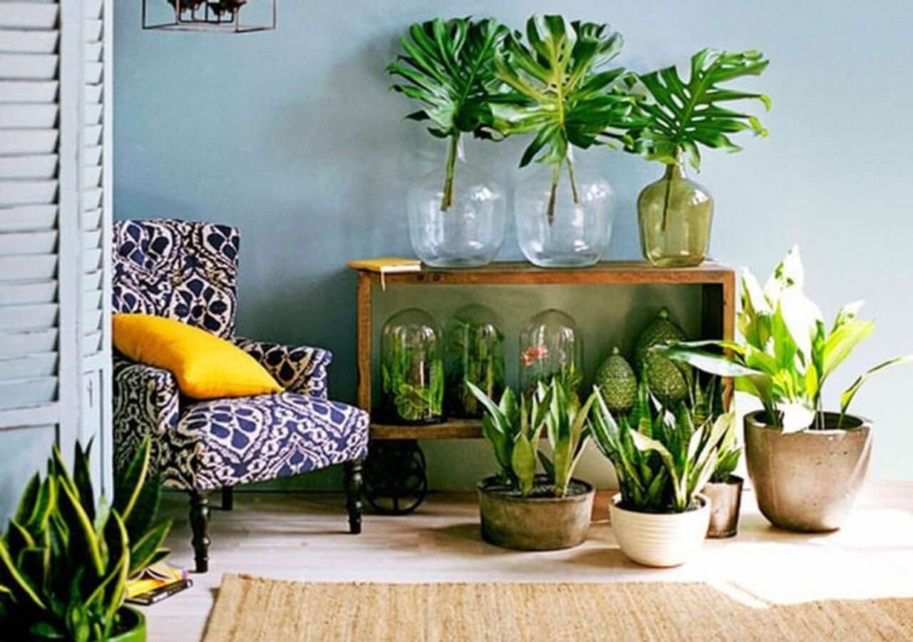 ideias-de-decoracao-de-sala-com-plantas