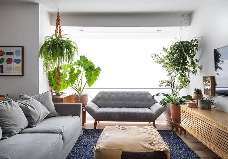 ideias-de-decoracao-de-sala-com-plantas