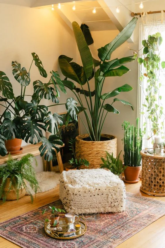 ideias-de-decoracao-de-sala-com-plantas