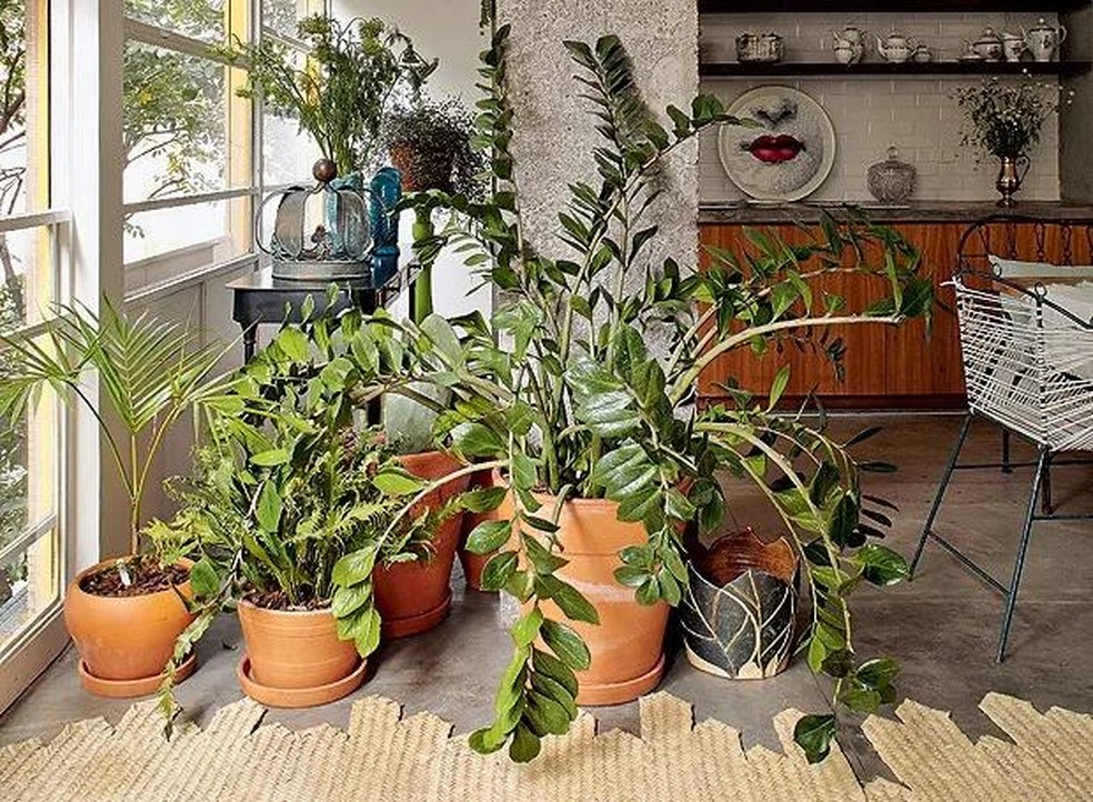 ideias-de-decoracao-de-sala-com-plantas