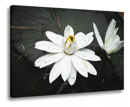 ideias-de-decoracao-de-sala-preto-e-branco