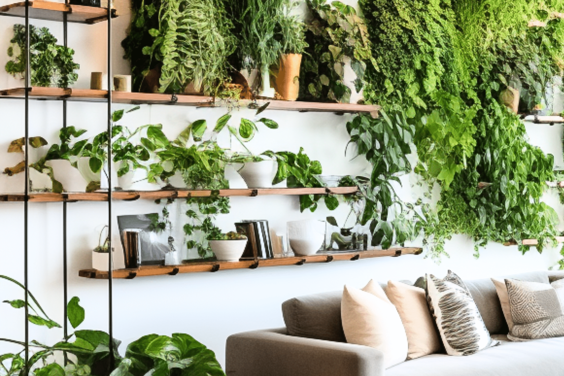 ideias-de-decoracao-de-sala-com-plantas