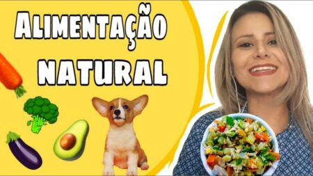 Como Preparar Alimentação Natural para Cachorros?